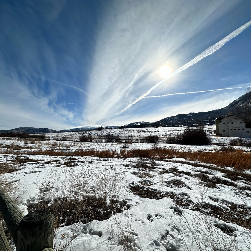 Meet your Posher, Marie